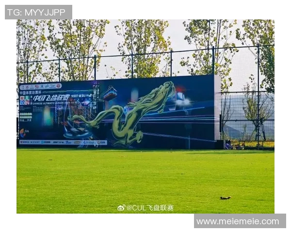 飞盘运动的崛起与挑战南京飞盘队的运营模式全解析